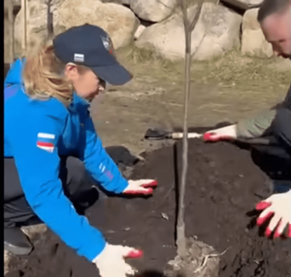 Сакура зацветет в Петрозаводске (видео)