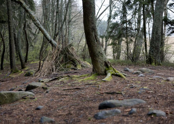 Узнали, как финские дети превращают лес в сказку