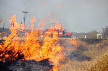 Мусорная площадка горела в районе Карелии