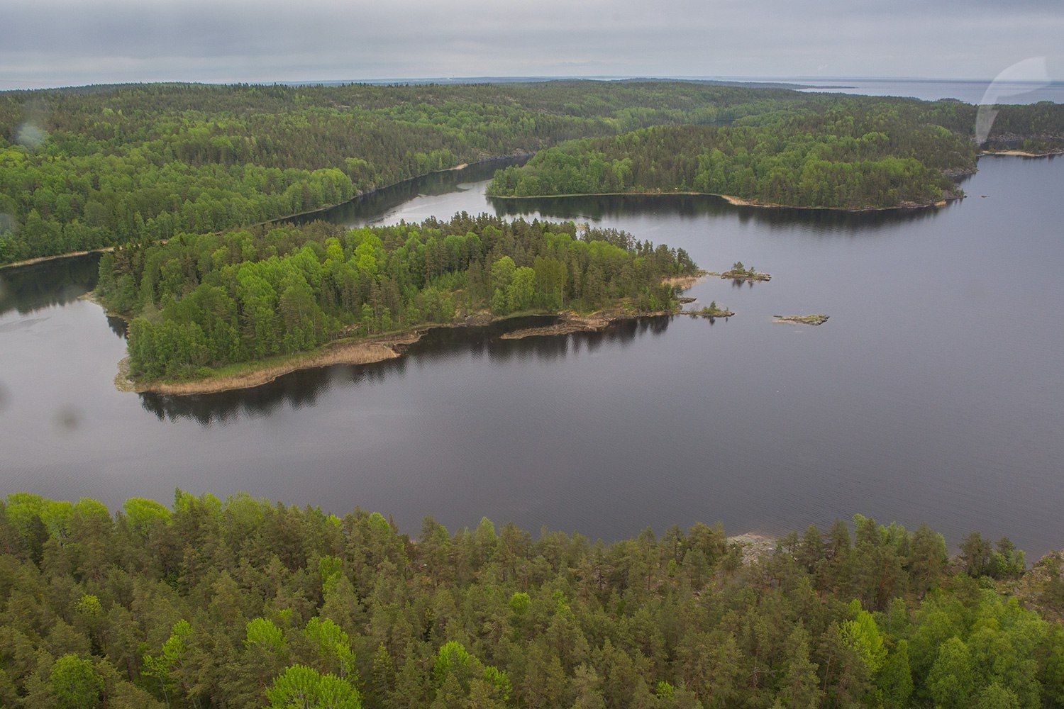 Один из карельских нацпарков изменил правила оплаты за посещение