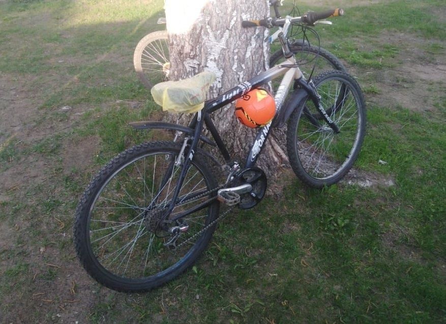 Дети не поделили дорогу на востоке Карелии — отвечать, возможно, придется родителям