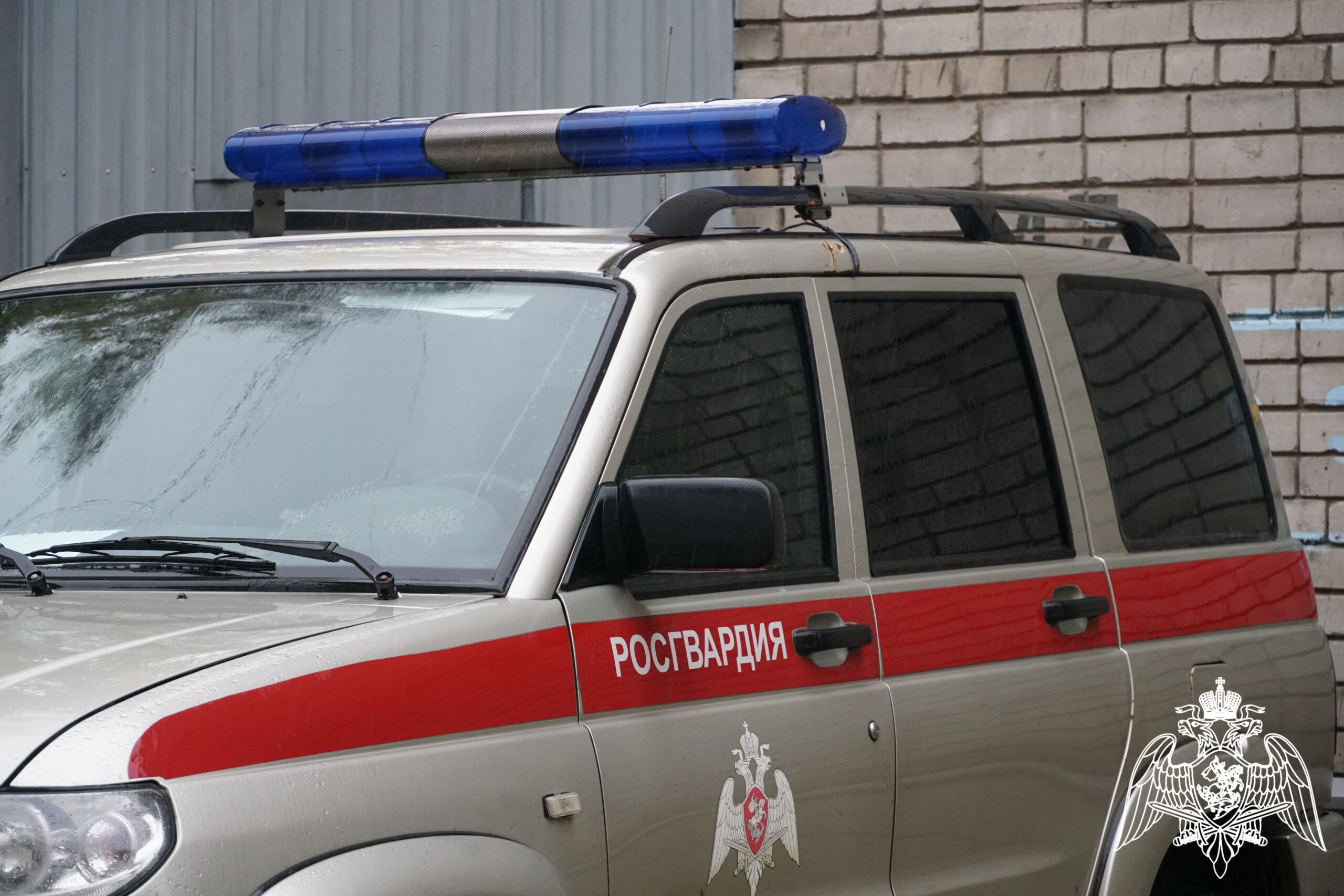 Дюжина упаковок шоколада стали добычей молодого человека в Петрозаводске