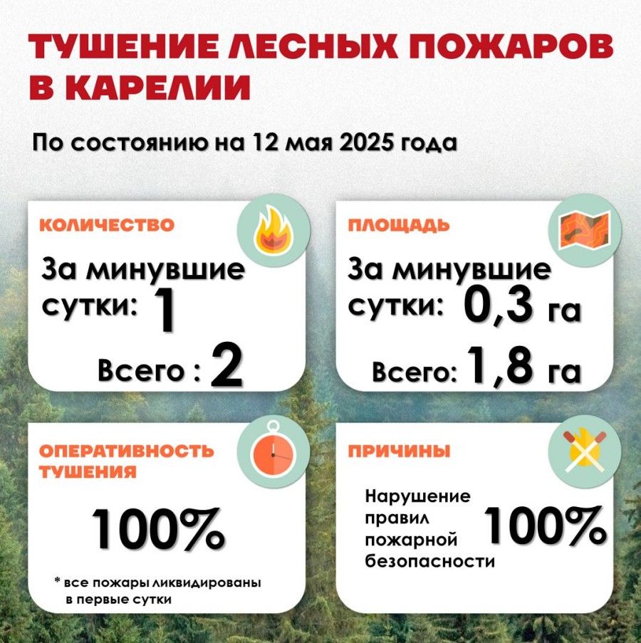 Водитель помог вовремя обнаружить лесной пожар