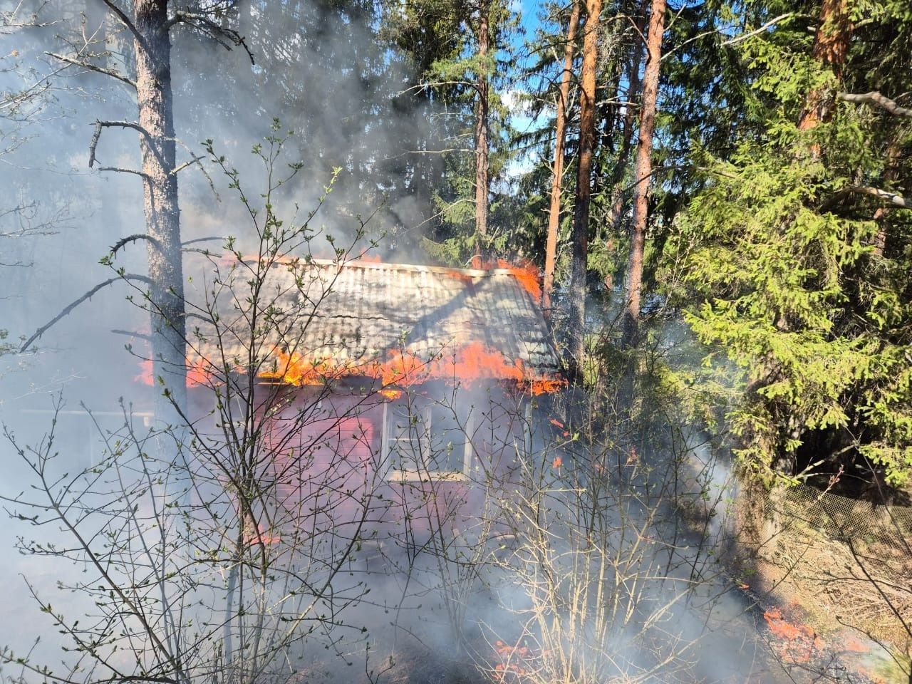 Появились подробности и видео с места пожара в Приладожье