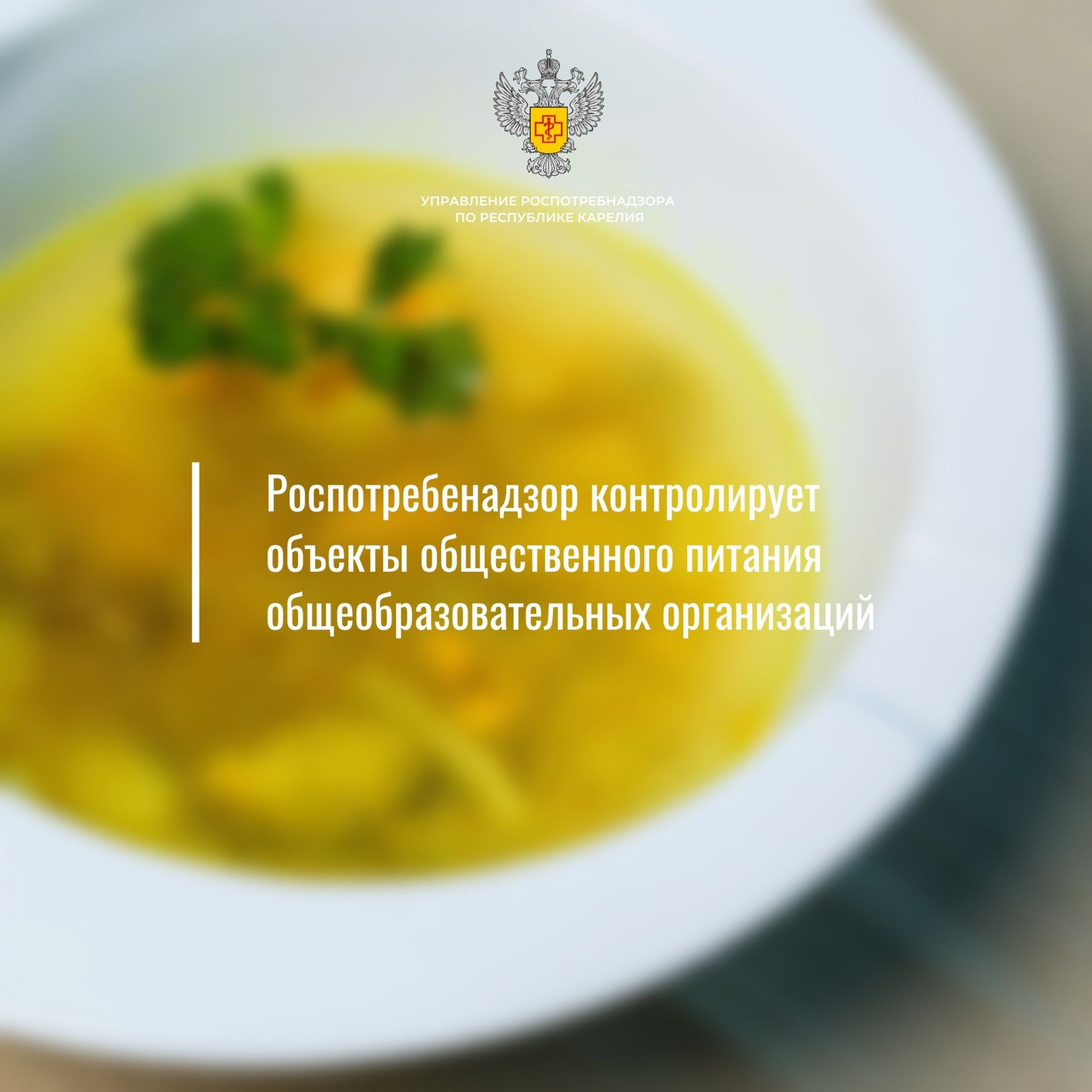 93 из 100 карельских школьников получают горячие обеды