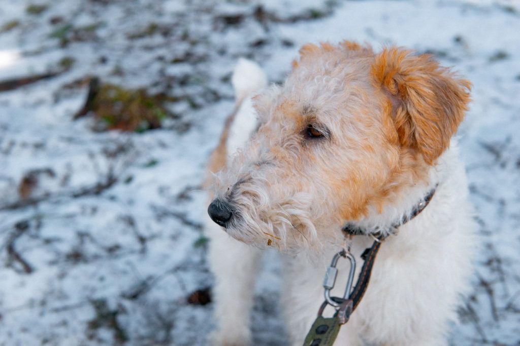 Карельская весна – лучшее лекарство от оптимизма: прогноз погоды на 8 мая