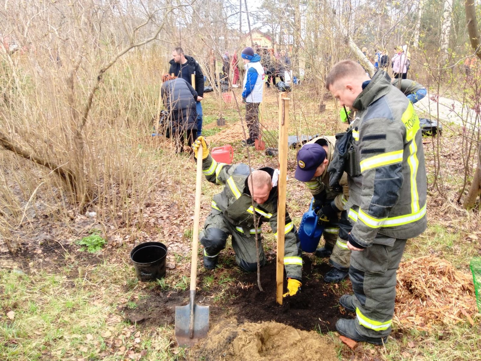 Пожарные Прионежья высадили «Деревья памяти» в Петрозаводске