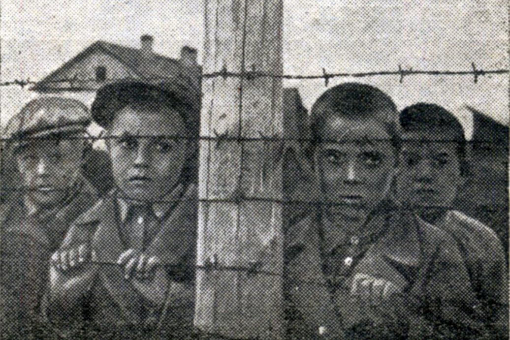 В сети обсудили книгу о финской оккупации Карело-Финской ССР