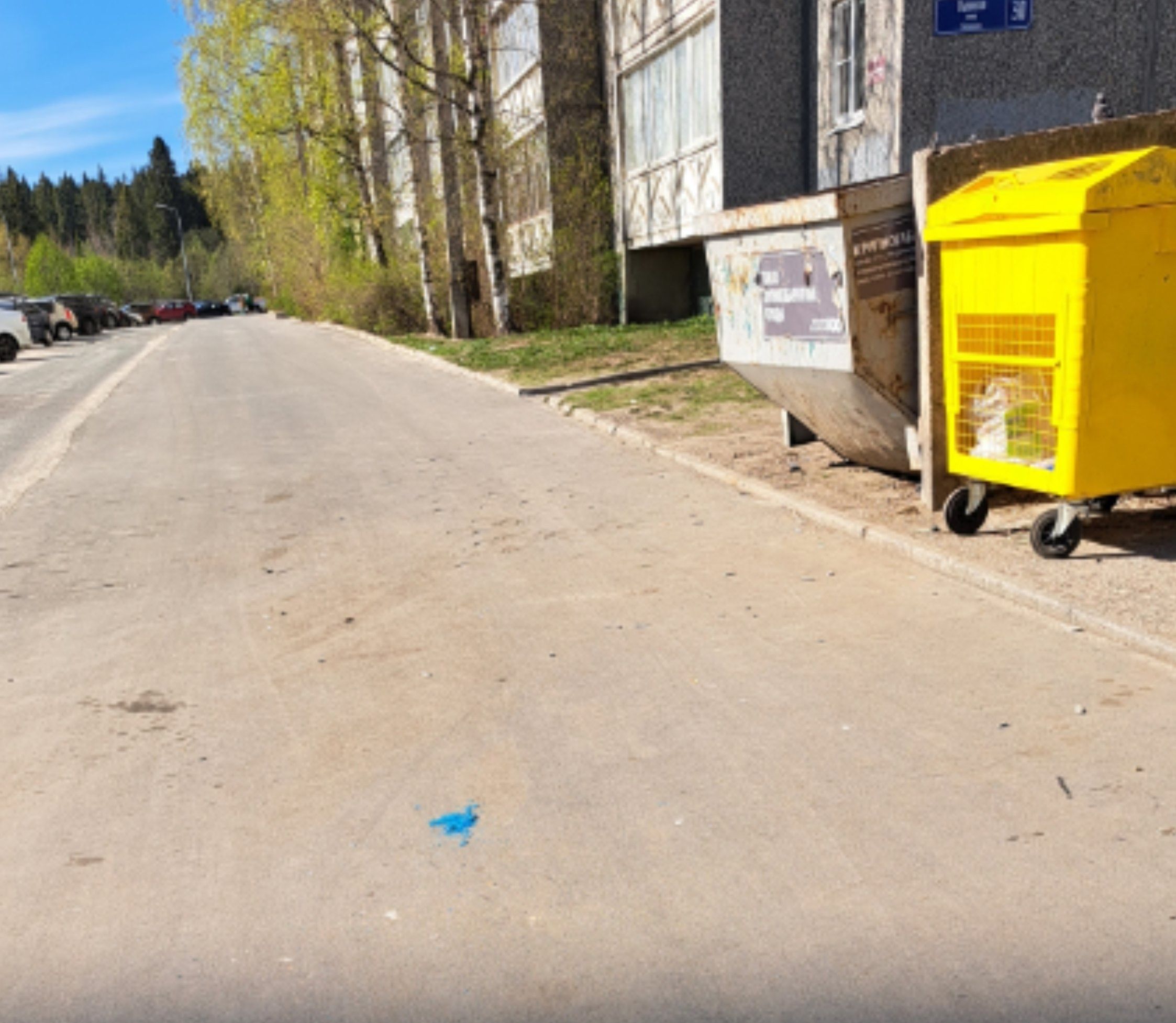 Неизвестные рассыпали яд в оживленном районе Петрозаводска