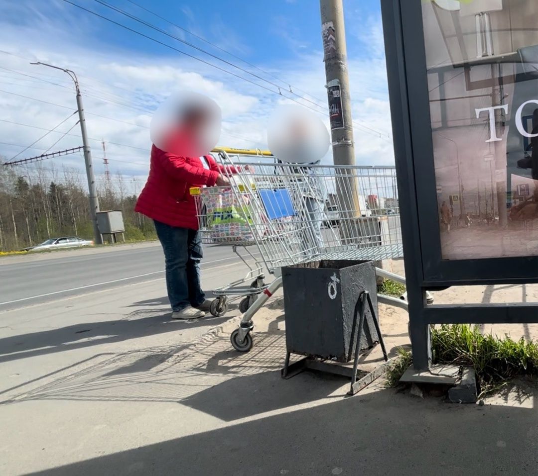 Петрозаводчанка поймала тележку из гипермаркета и спасла водителей от ДТП