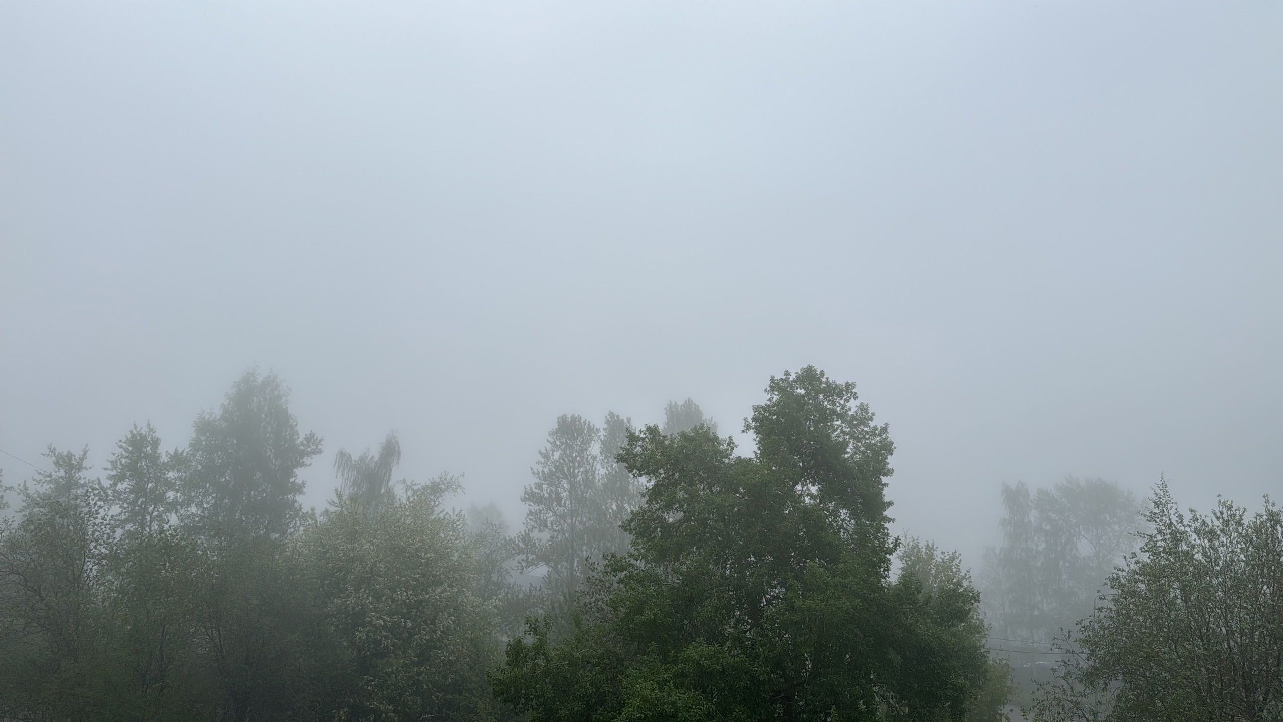 Густой туман окутал набережную Петрозаводска