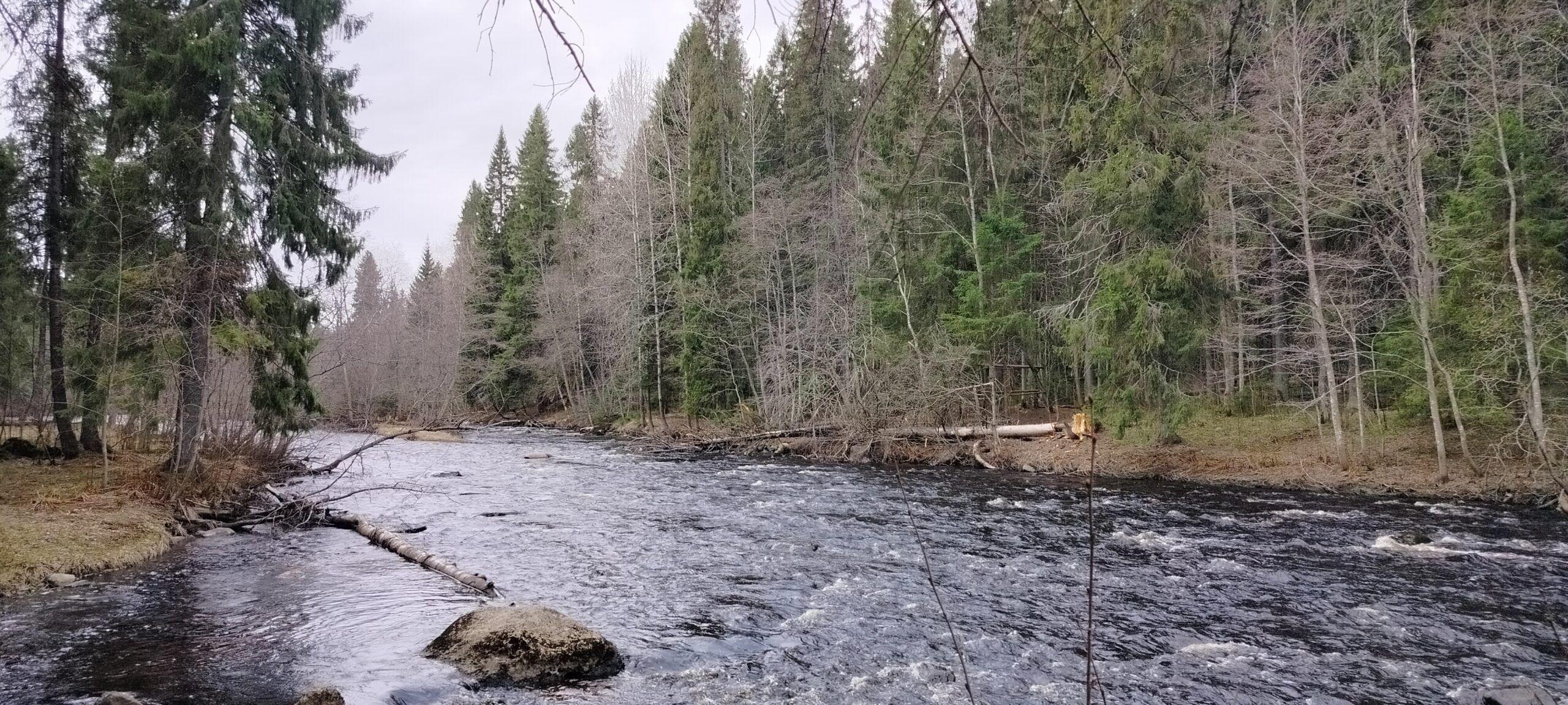 До +10 С потеплеет 10 мая в Карелии