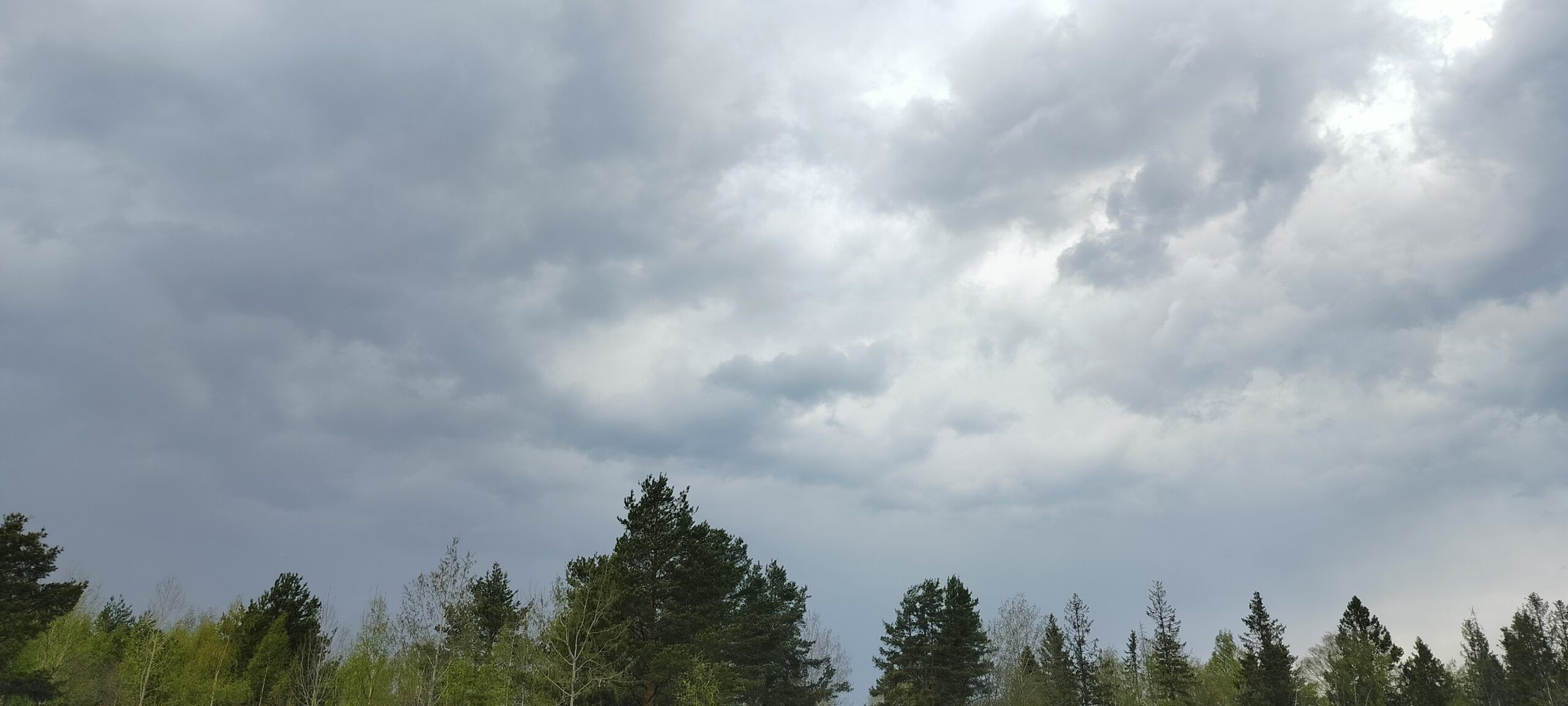 Сильные дожди обрушатся в понедельник на Карелию