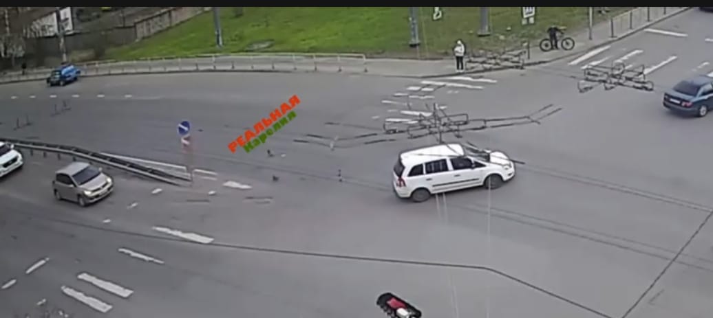 Пошли на красный: семейство уток решило перейти дорогу на оживлённой улице в Петрозаводске