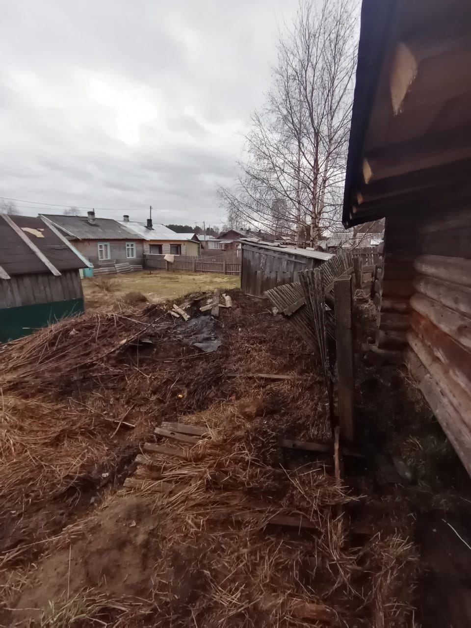 Сухая растительность вспыхнула в Муезерском районе