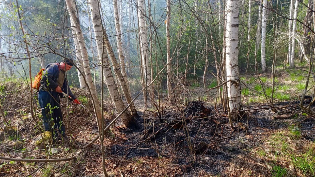 Россиянам грозит штраф до 500 тысяч рублей за поджигание хвороста и сухой травы