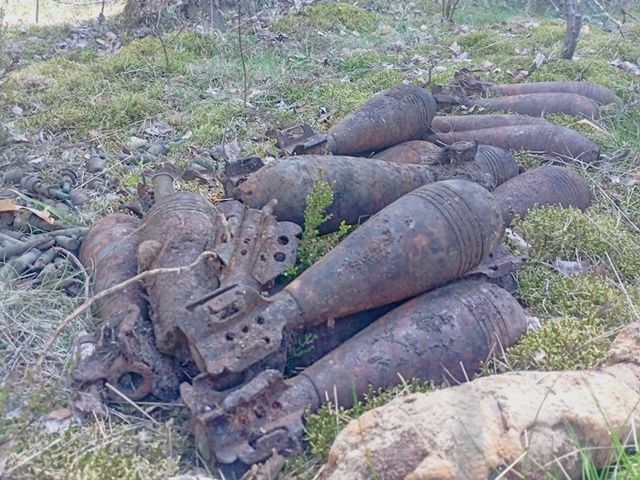 В Нижне-Свирском заповеднике найдено большое количество боеприпасов времен ВОВ