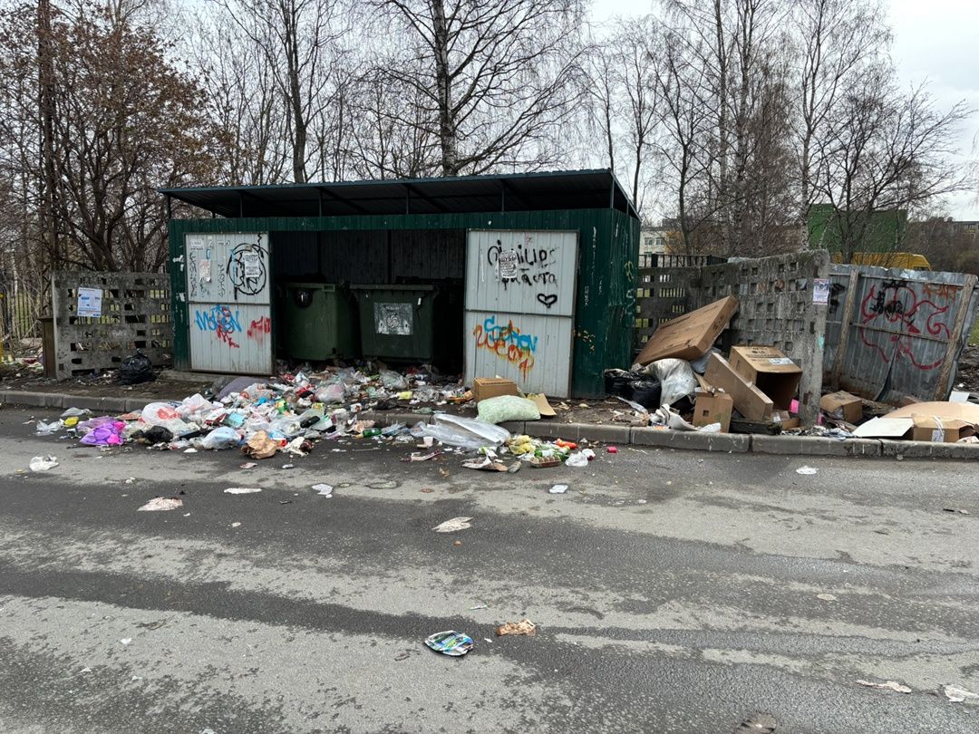 Жители Петрозаводска негодуют от вывоза мусора