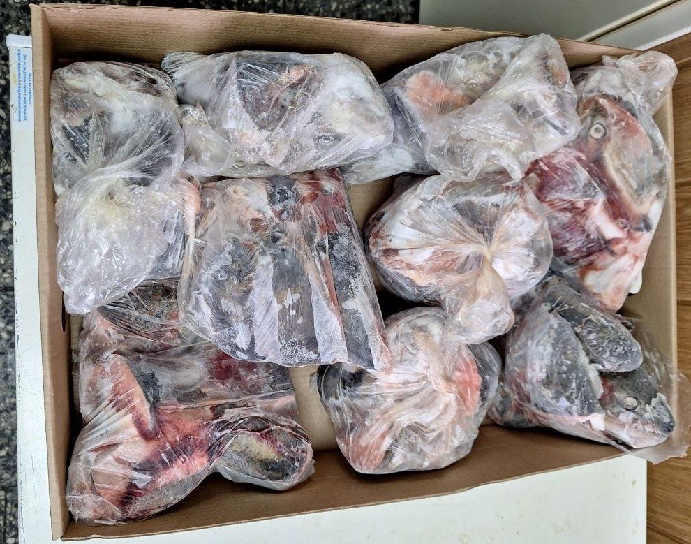 Не соответствует нормам: полтонны рыбной продукции карельского предпринимателя будут уничтожены