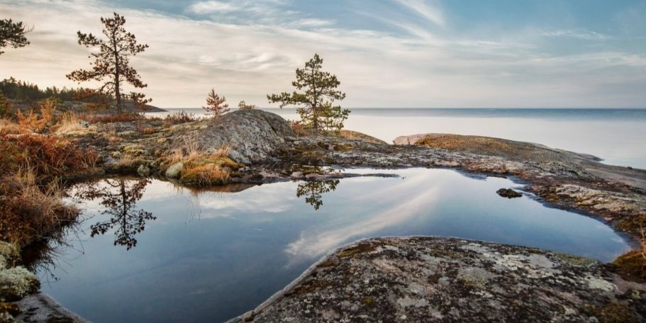 На популярном туристическом острове Карелии запретили ставить палатки и разводить костры