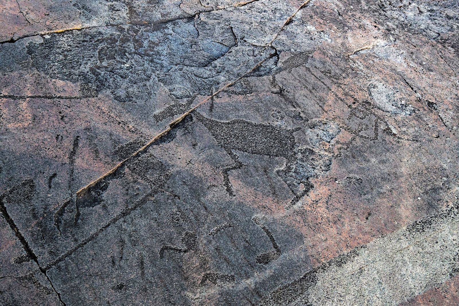 Туристам предложили открыть для себя наследие каменного века в Карелии