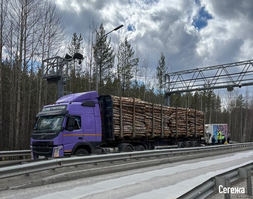 Стало известно, почему столкнулись лесовоз и фургон на весовом контроле в Сегеже