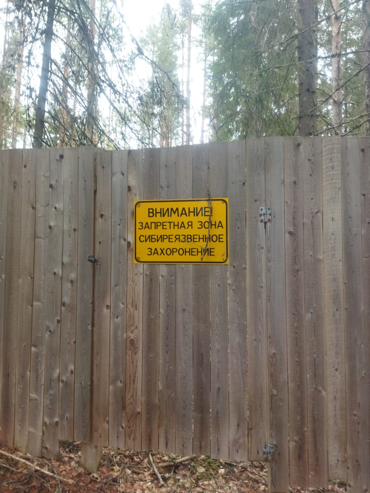 Суд обязал правительство привести в порядок заброшенные скотомогильники в Карелии