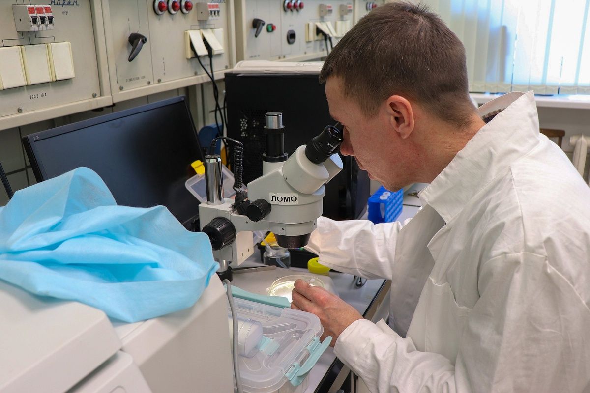 Карельские биологи научились выявлять рыбных паразитов по ДНК в воде