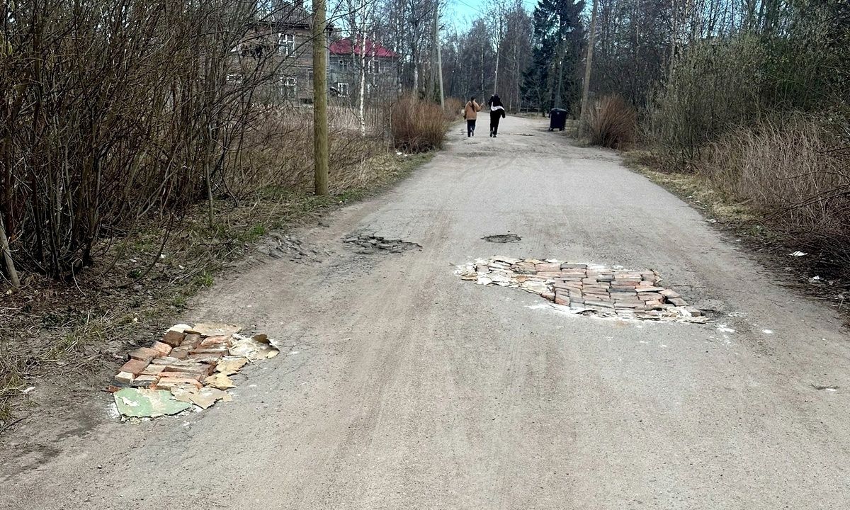 Житель карельского поселка отремонтировал дорогу кирпичами