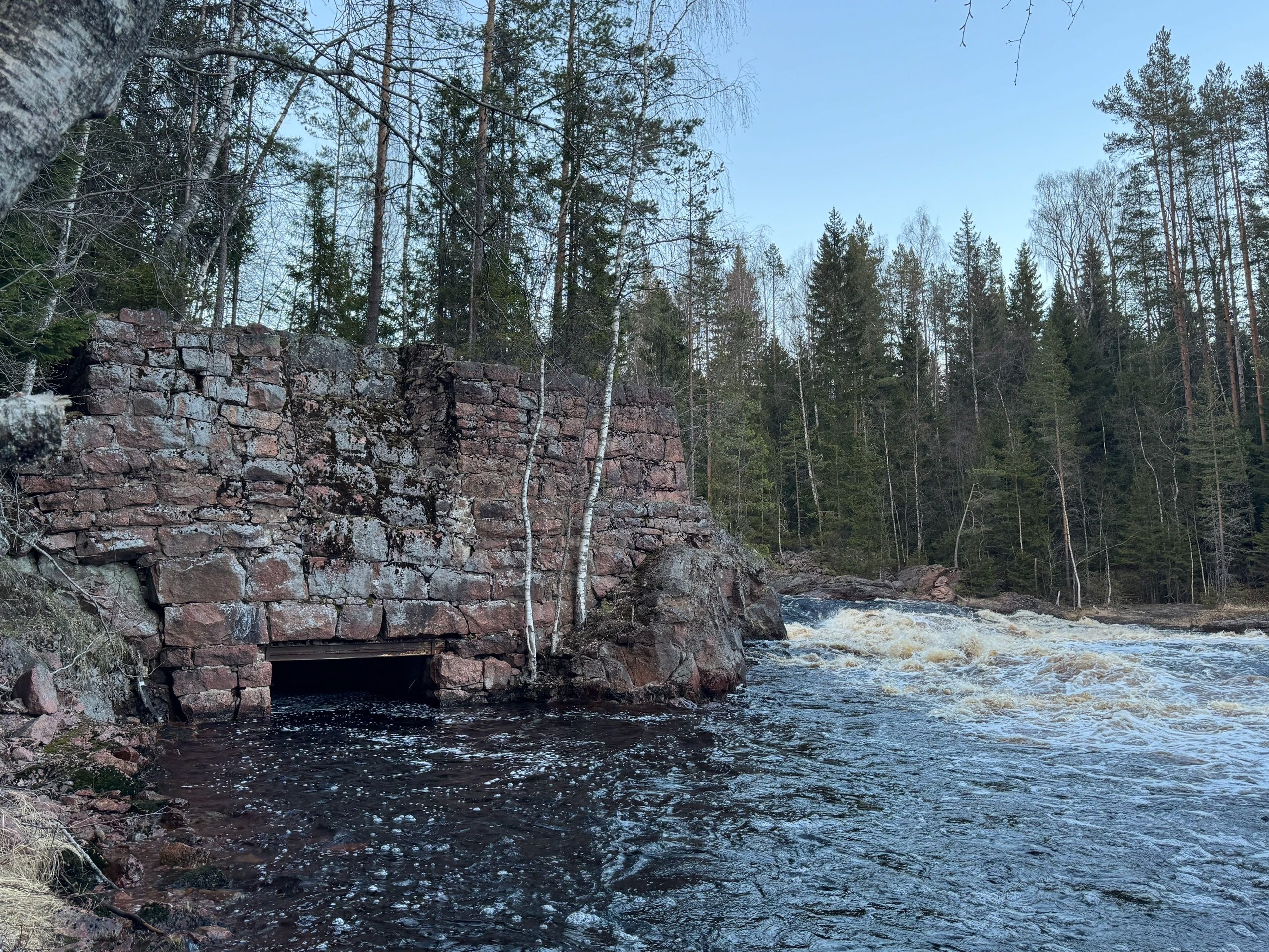 Узнали, какая ГЭС снабжала энергией завод на юге Карелии почти сто лет назад