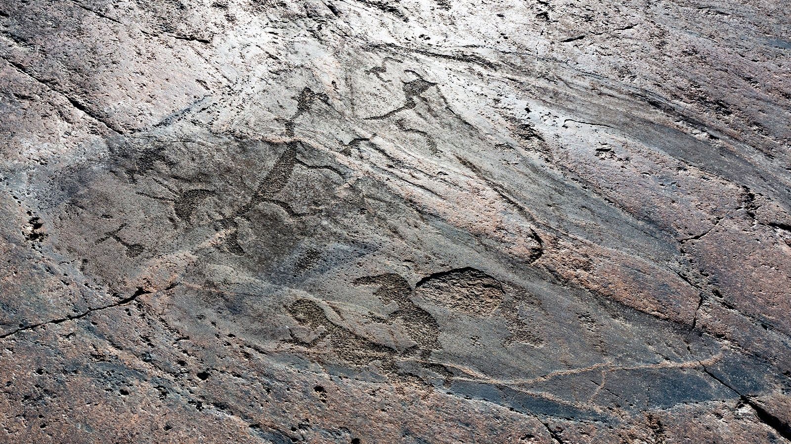 В Карелии началось строительство туркомплекса у Онежских петроглифов