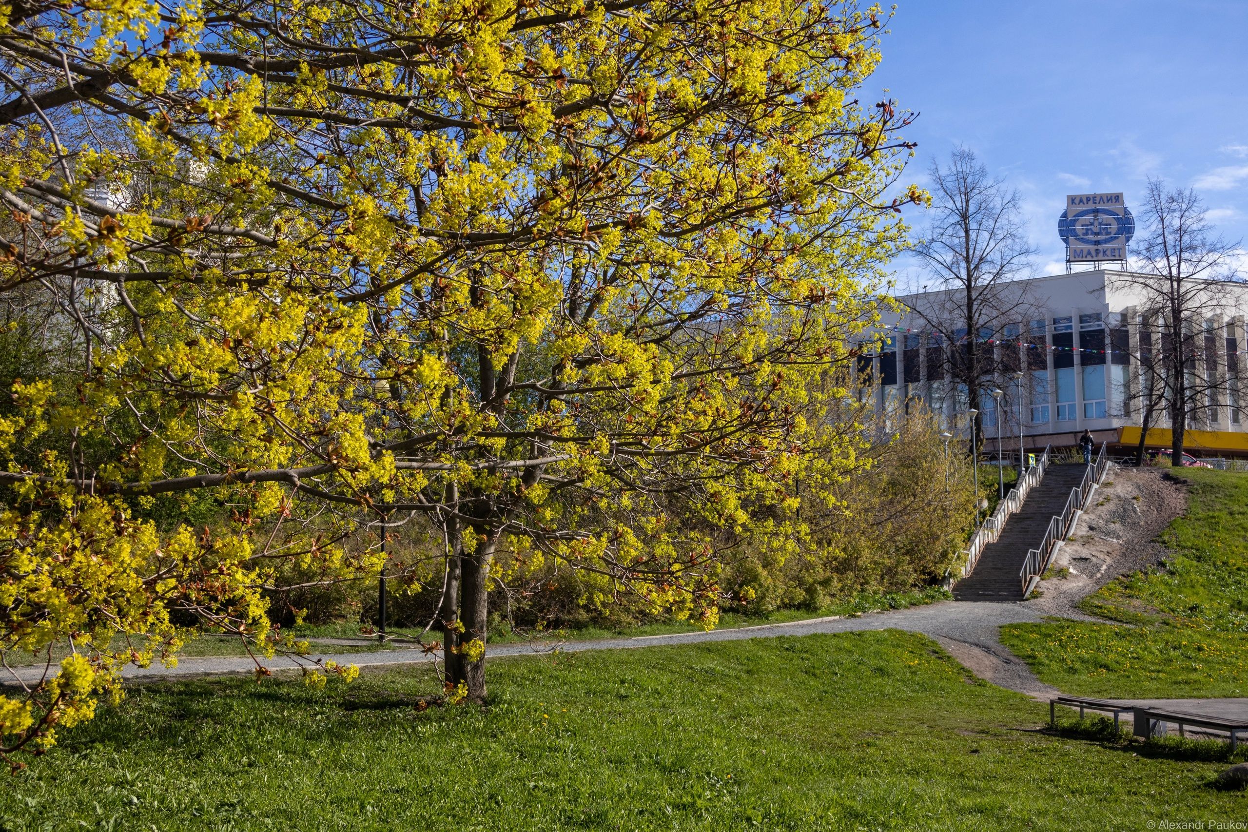 Теплая погода с дождями ожидает жителей Карелии в пятницу