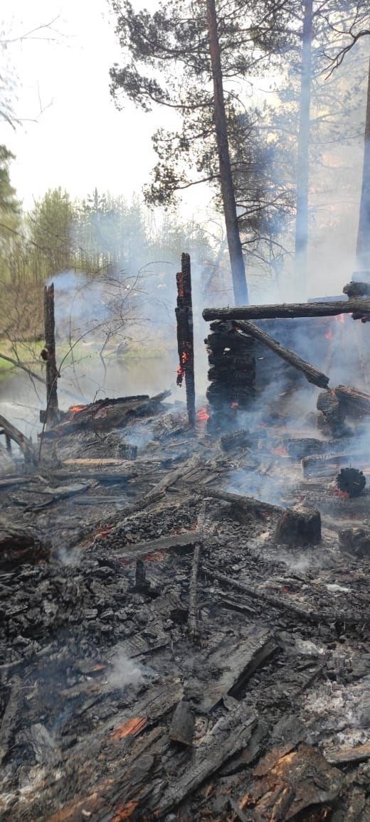 Бесхозная бревенчатая баня сгорела в Прионежье — лес отстояли