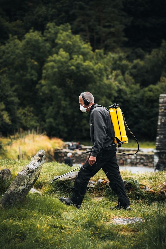 В Суоярвском округе общественные места обработают от клещей