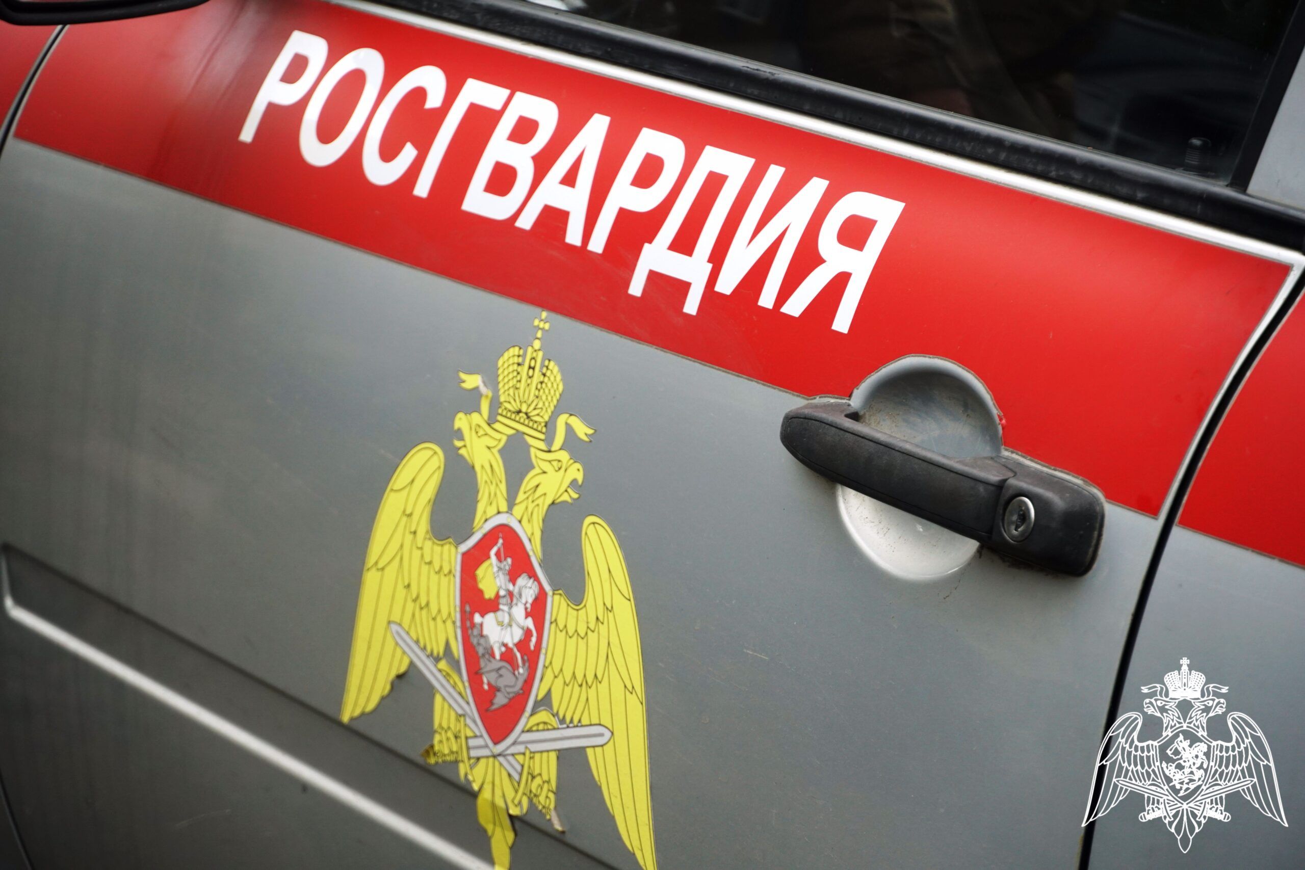 Сегежанин выкатил из магазина тележку, набитую неоплаченными продуктами