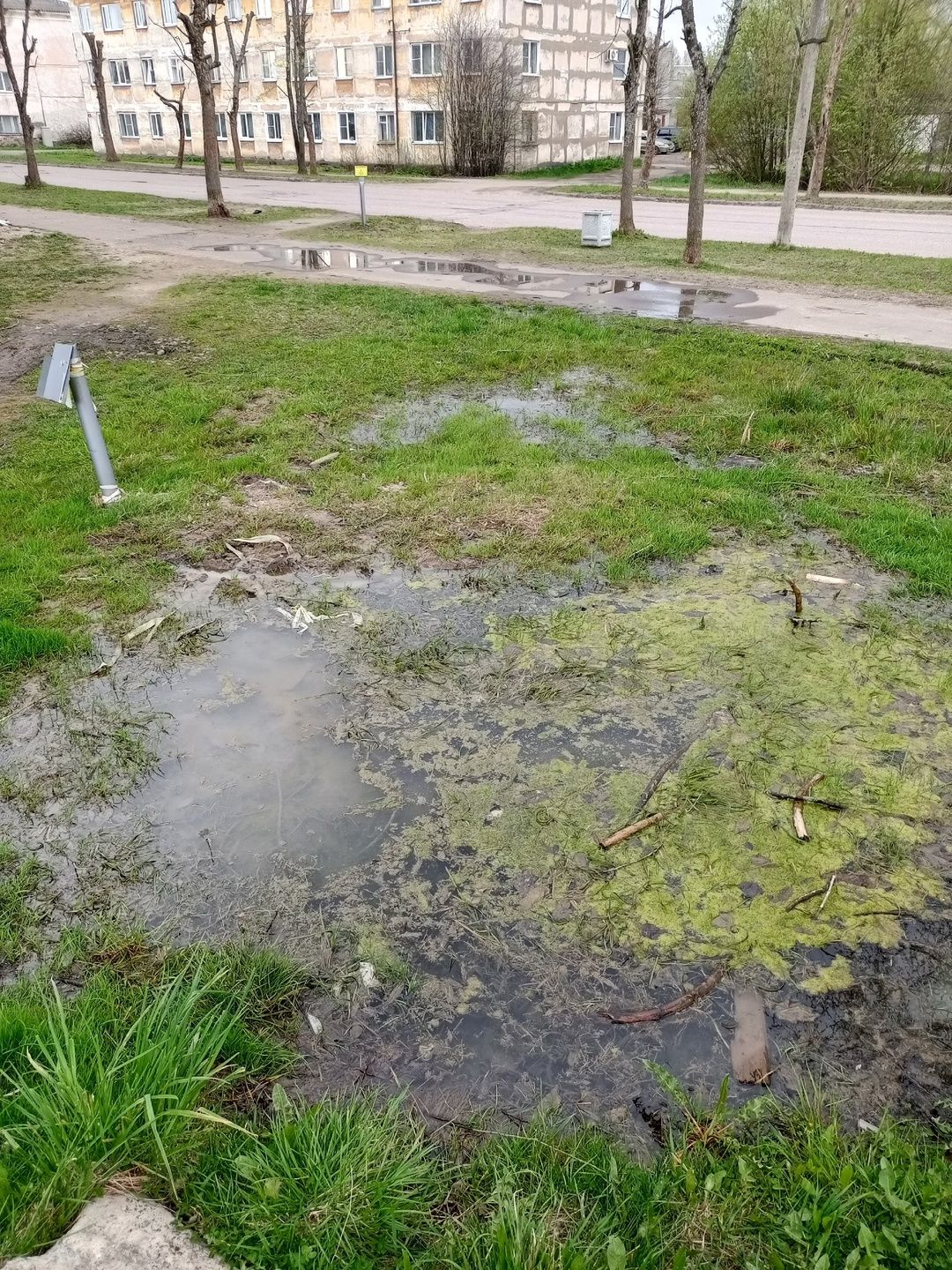 «Скоро превратится в приток Олонки»: местные жители возмущены системной утечкой воды в Олонце