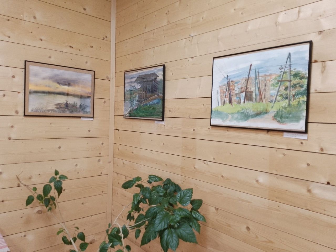 Художники со всей России показали красоту Карелии