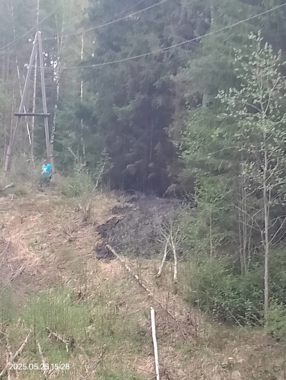 Жители поселка в Карелии помогли тушить лесной пожар