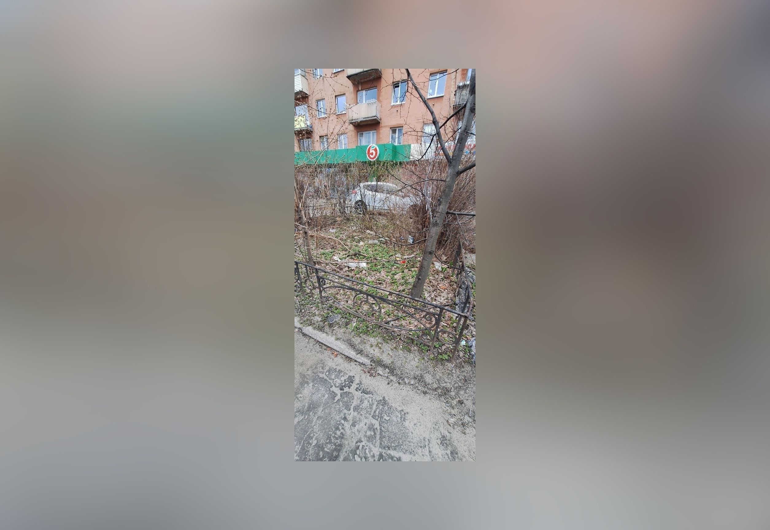 Мусор испортил вид возле бульвара Победы в Петрозаводске