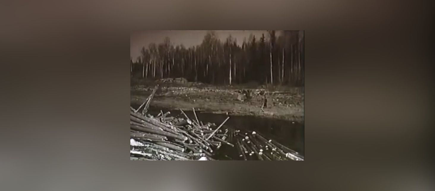 Кинохроника 1965 года запечатлела труд ветеранов лесной промышленности Карелии