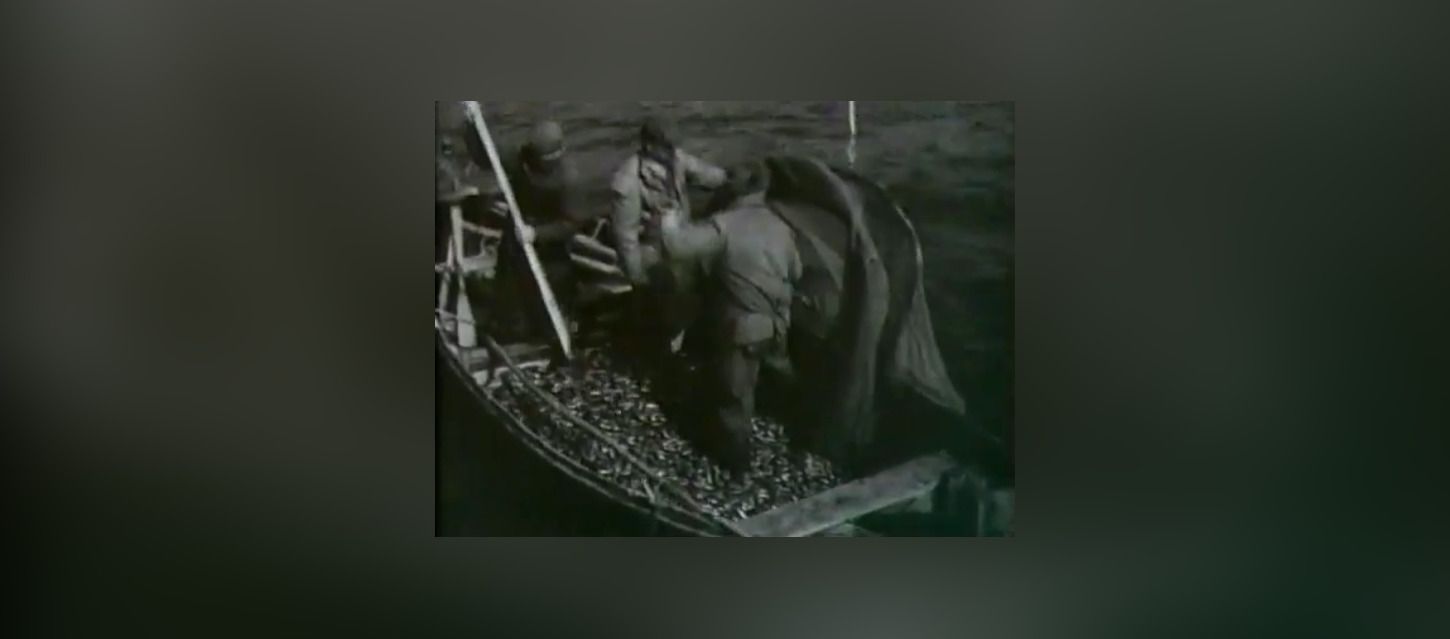 В сети опубликовали кадры весенней путины на Онежском озере 1957 года