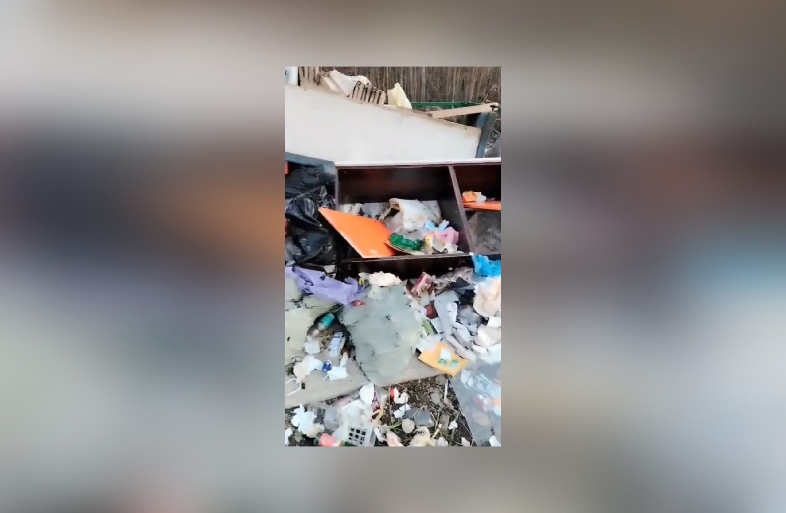 Администрация одного из карельских поселений призвала жителей блюсти чистоту