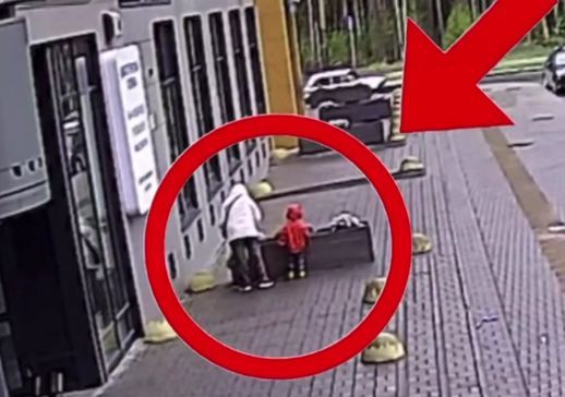 Жительница Петрозаводска украла цветы с клумбы на Древлянке