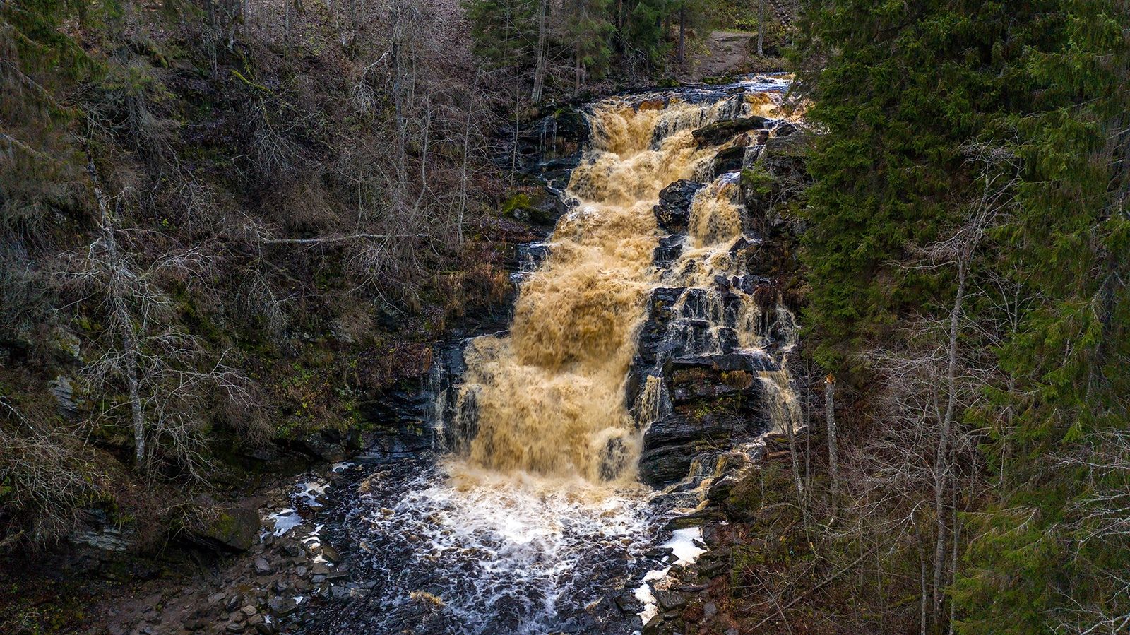 На берегу Ладоги создают уникальный туристический хаб Карелии
