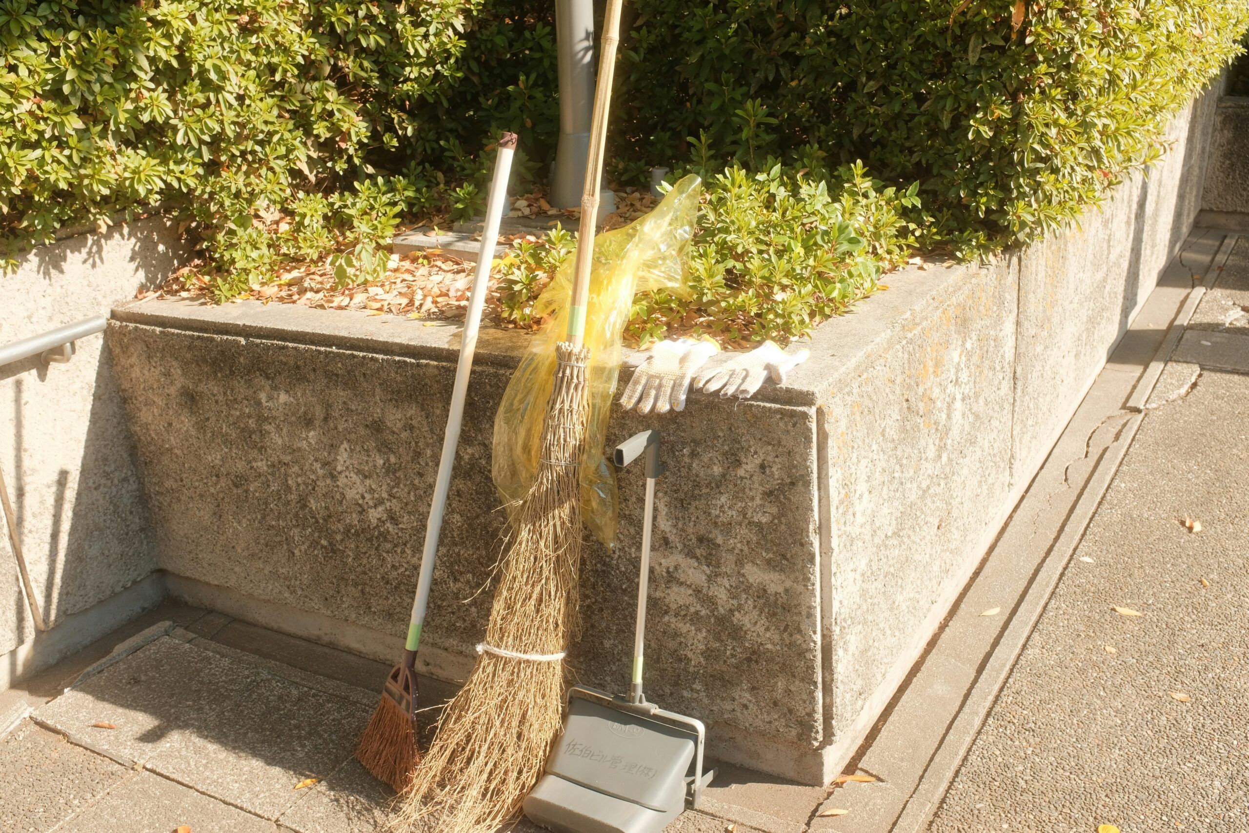 В Петрозаводске выявили 72 нарушения в содержании домов и дворов