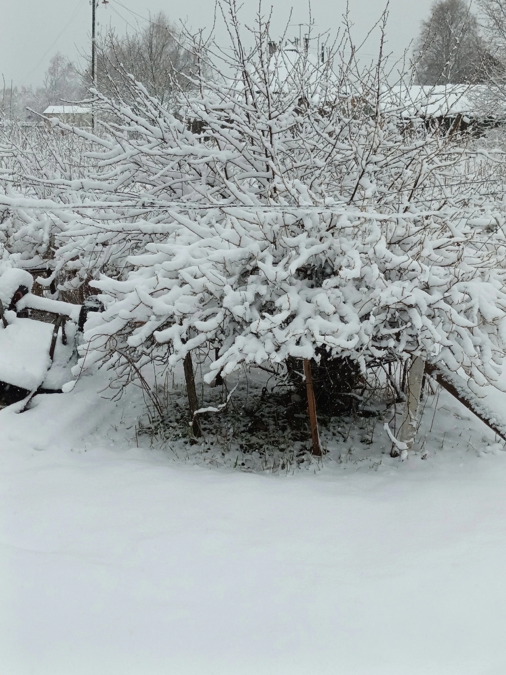 Поселки в Карелии завалило снегом