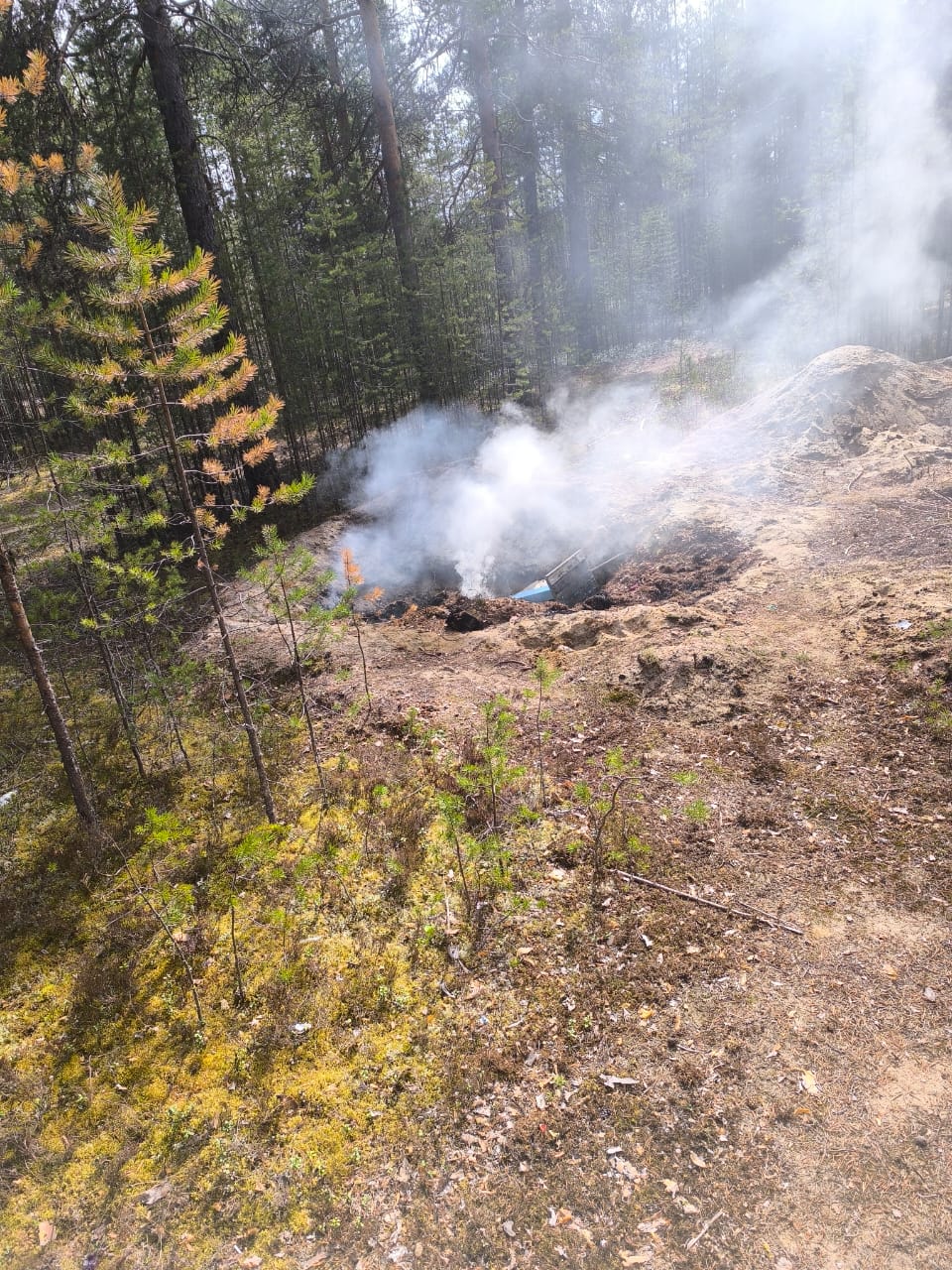 Кладбище горит в поселке Боровой