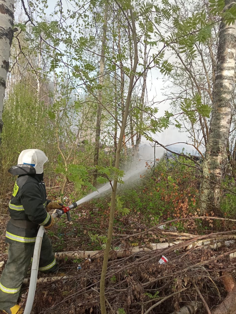 Свалка мусора загорелась в лесу в Калевальском районе