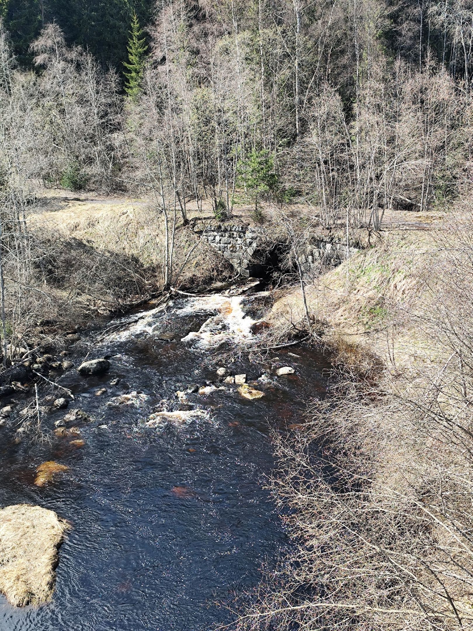 В Карелии сохранили исторический мост на реке Иййоки
