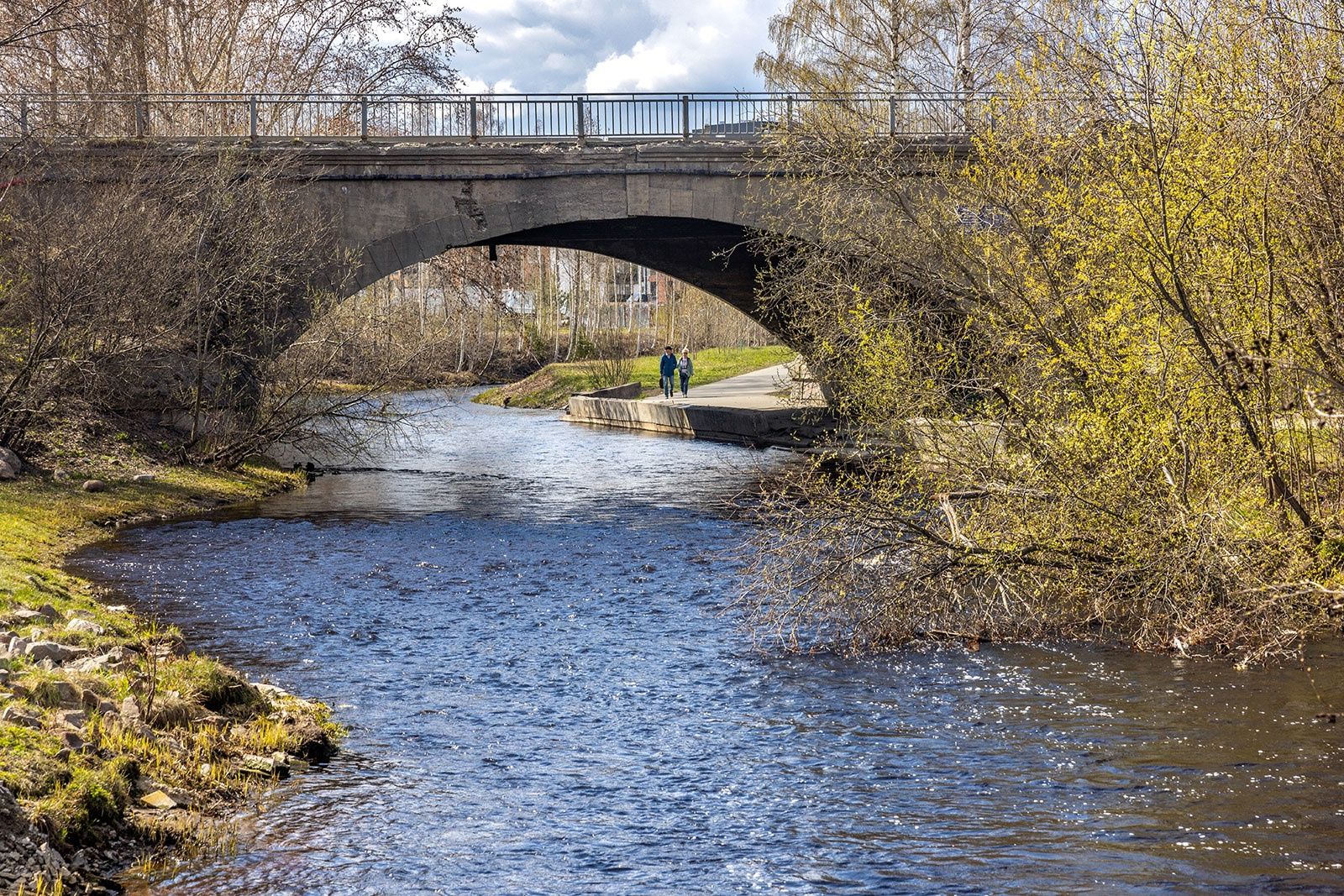 Дождик окропит карельские земли, а гроза взбодрит местных жителей
